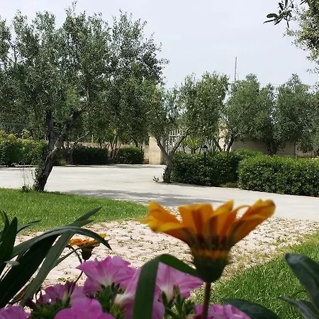 Oasi Degli Ulivi بيت للعطل كاروفينيو